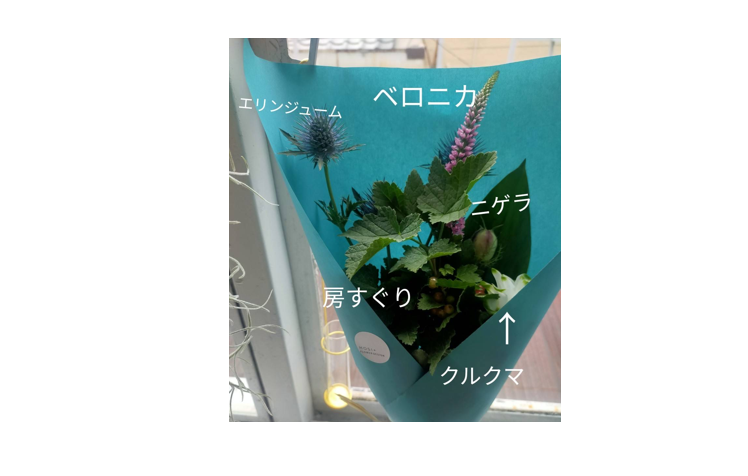 🌼今月のお花🌼