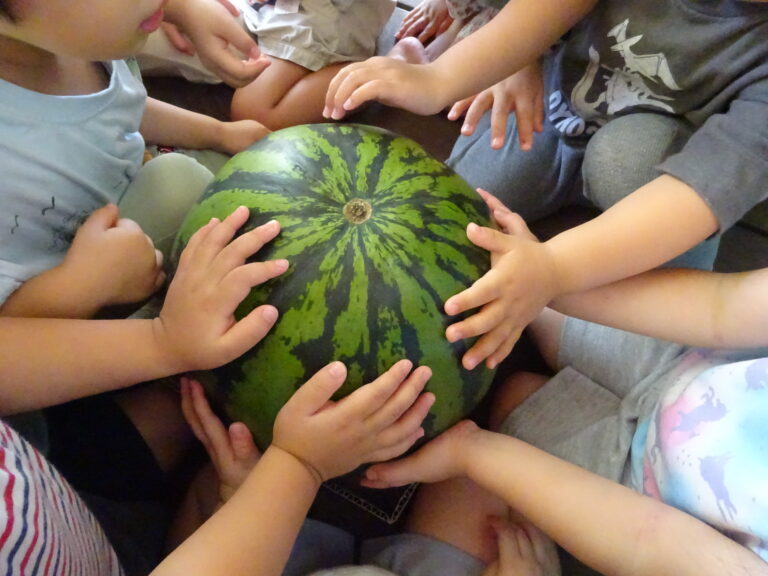 スイカ🍉割り