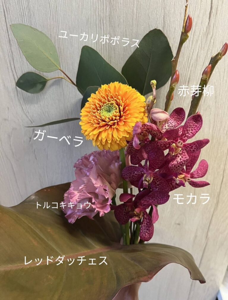 ❁今月のお花❁