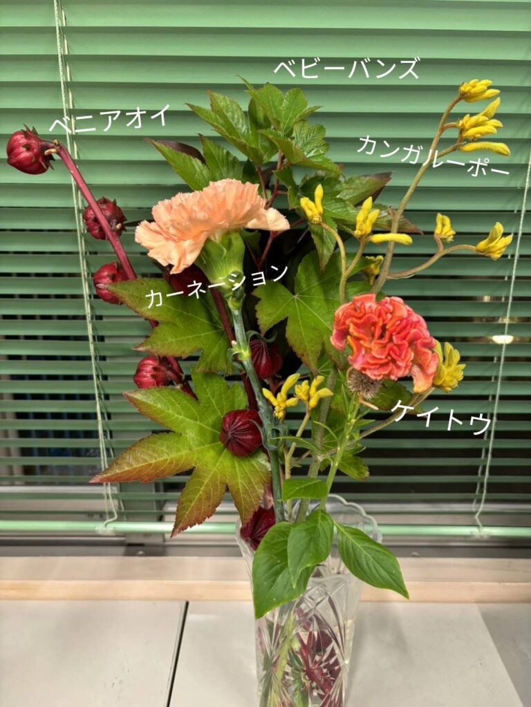 ❁10月のお花❁