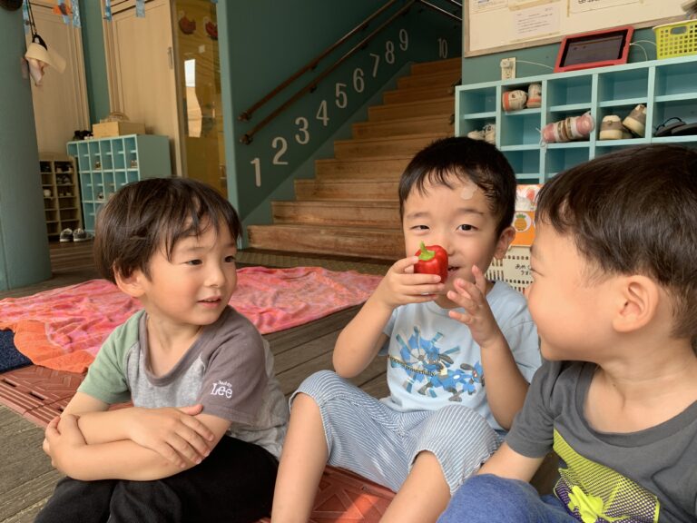 食育だより