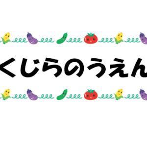 3・4・5歳児　芋掘り（にじ、そら、くじら組）